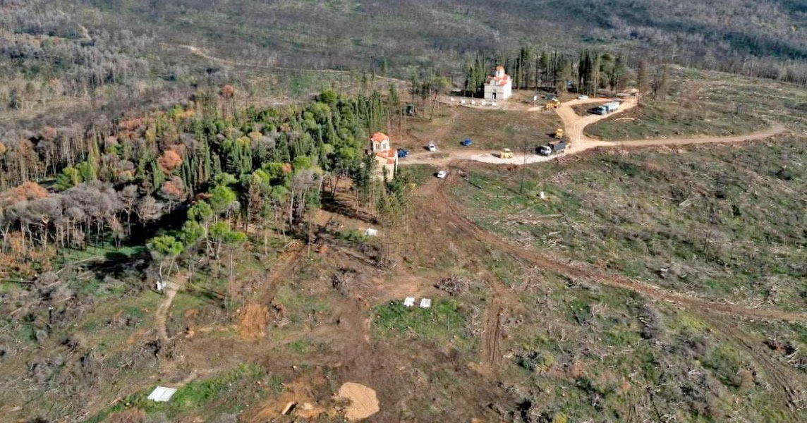 Τατόι: Τα έργα αποκατάστασης δασικού τοπίου, ανακτορικών κήπων και κοιμητηρίου