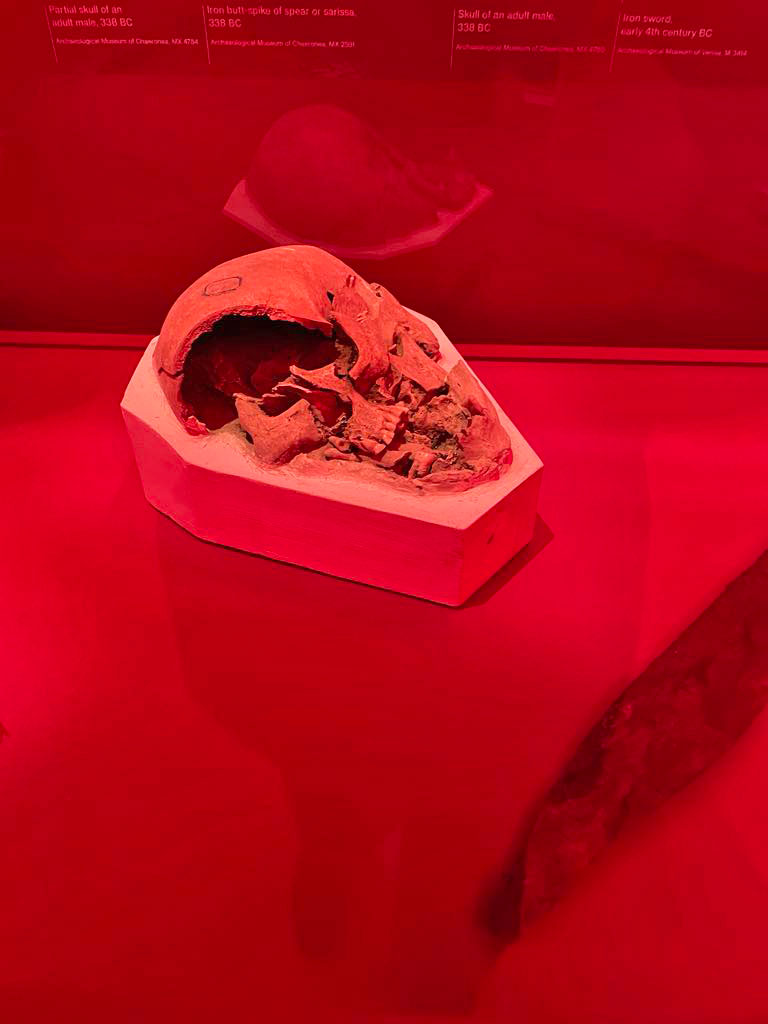 Μια επίσκεψη στη «Χαιρώνεια» του Μουσείου Κυκλαδικής Τέχνης