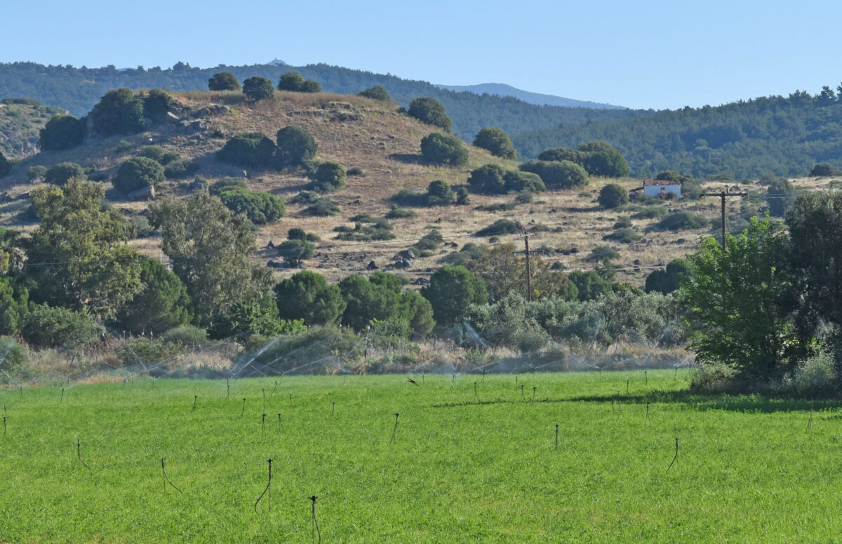 Μυτιλήνη: Παραχώρηση δημοτικής έκτασης για να ανασκαφεί η αρχαία Αρίσβη