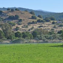 Μυτιλήνη: Ανασκαφές για να αναδειχθεί η αρχαία Αρίσβη