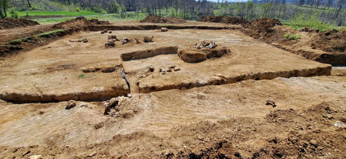Πανοραμική άποψη της απολιθωματοφόρας περιοχής και των ανασκαφικών θέσεων στην Κερασιά Εύβοιας. Πηγή εικόνας: Μουσείο Φυσικής Ιστορίας Απολιθωμένου Δάσους Λέσβου.