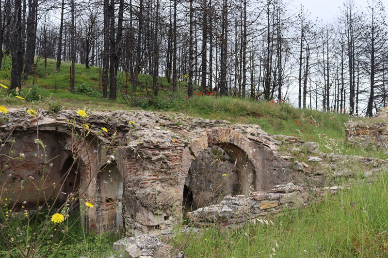 Πράσινες Πολιτιστικές Διαδρομές από την ΕΦΑ Ροδόπης