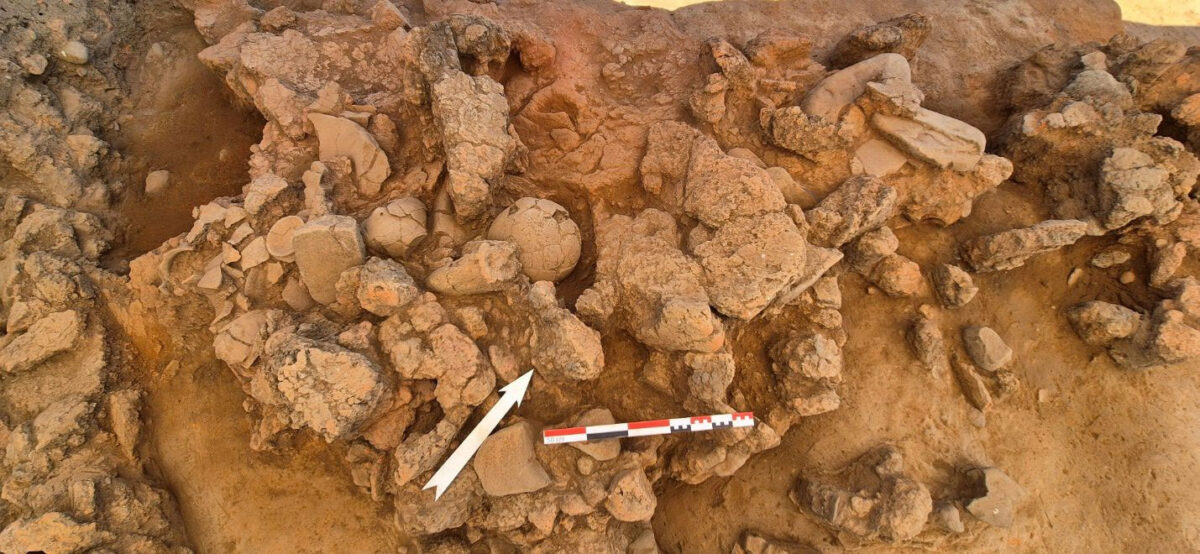 Εικ. 2. Tο συγκρότημα του κλιβάνου στα τετράγωνα Θ1-Θ2 και εν μέρει Η1-Η2 του καννάβου. Διακρίνονται ολόκληρα αγγεία in situ. Πηγή εικόνας: ΥΠΠΟ.