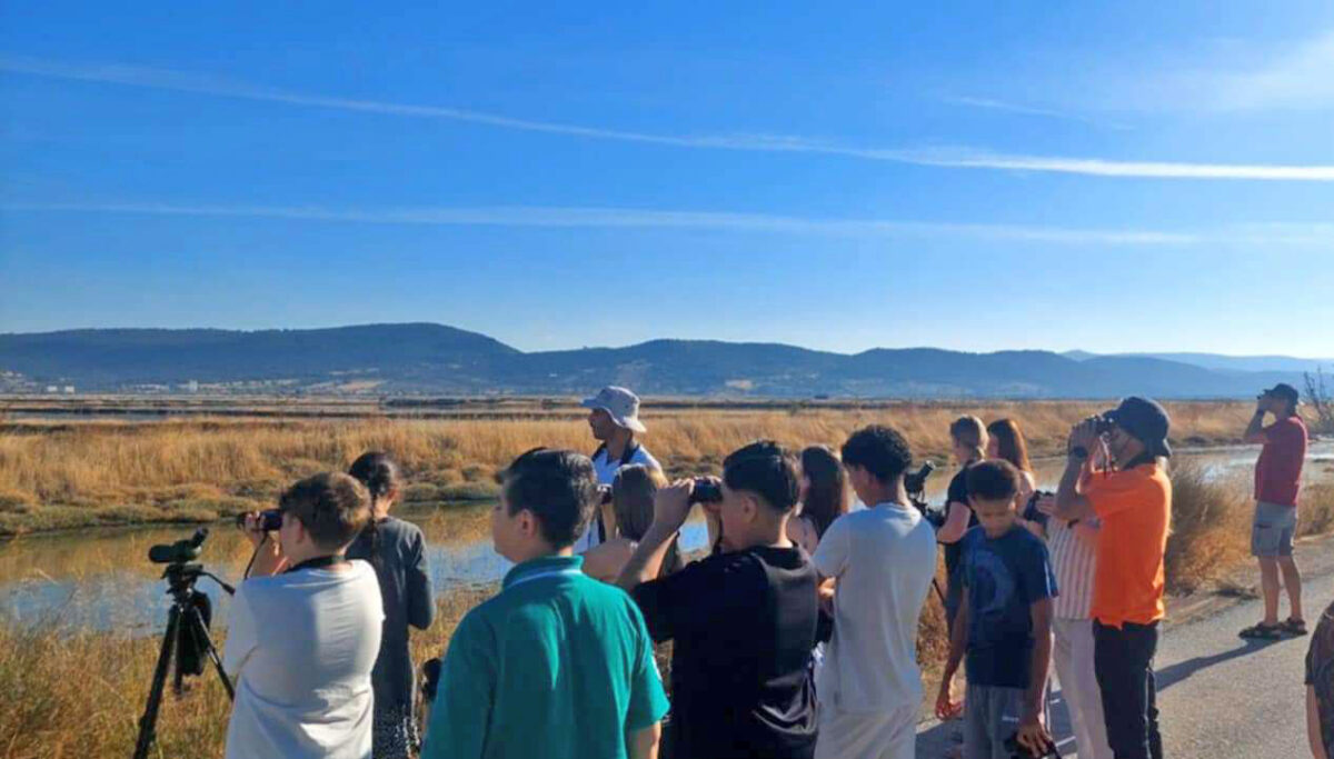 Στιγμιότυπο από εκπαιδευτικό πρόγραμμα που διοργάνωσε το Μουσείο Φυσικής Ιστορίας Απολιθωμένου Δάσους Λέσβου.