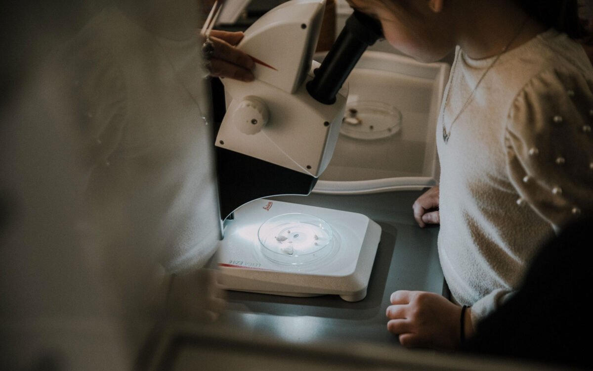 Εργαστήριο αρχαιοβοτανολογίας στο ΑΜΘ