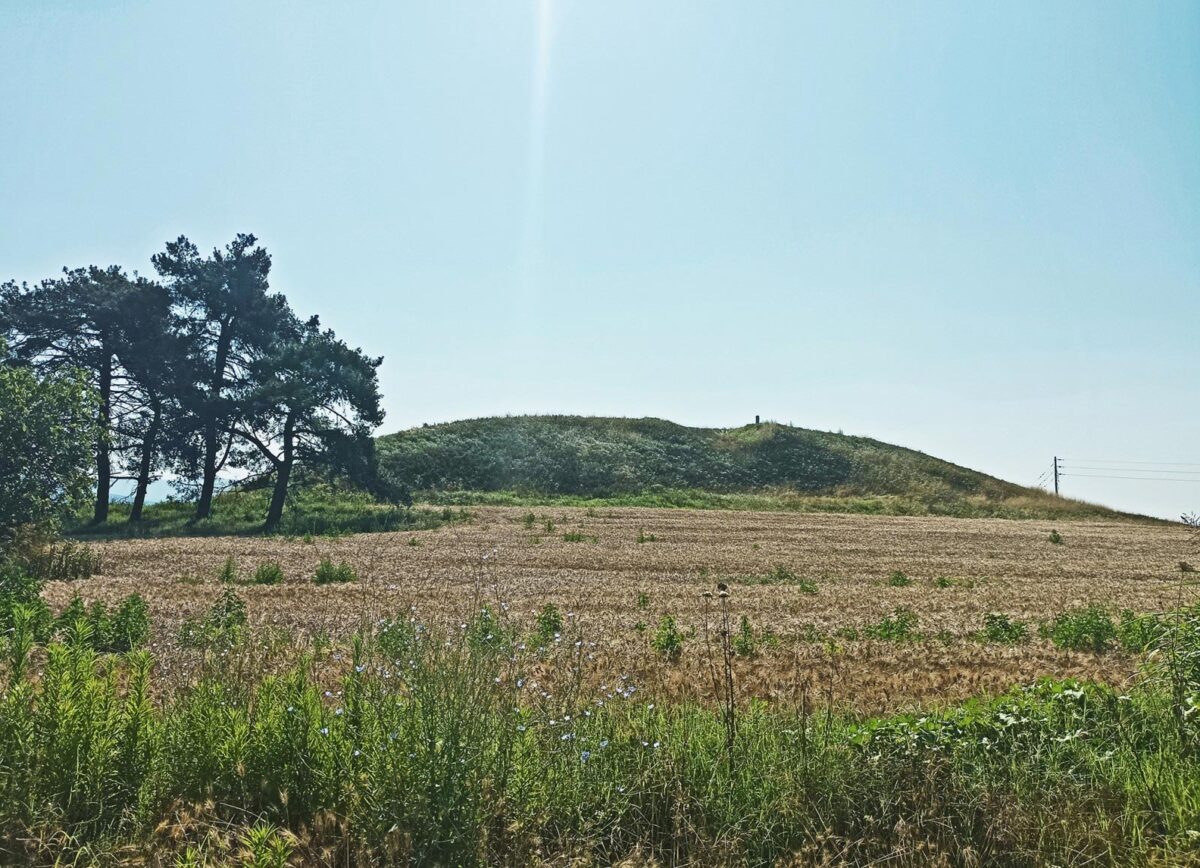 H Τούμπα Νέας Ραιδεστού στην κοιλάδα του Ανθεμούντα. Πηγή εικόνας: ΑΜΘ.