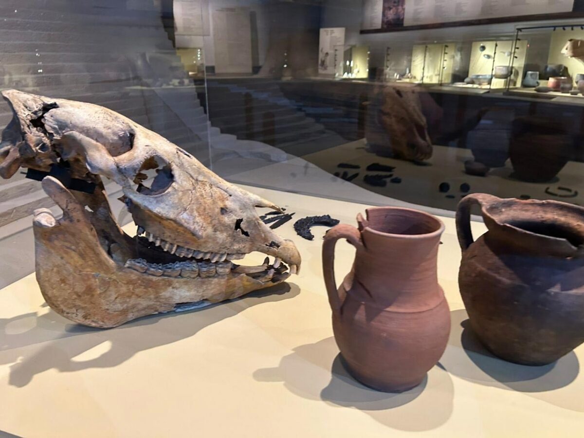 Από την έκθεση «Στη Σπηλιά: Ιστορίες από το σκοτάδι στο φως» που παρουσιάζεται στο Αρχαιολογικό Μουσείο Θεσσαλονίκης. Πηγή εικόνας: ΥΠΠΟ.