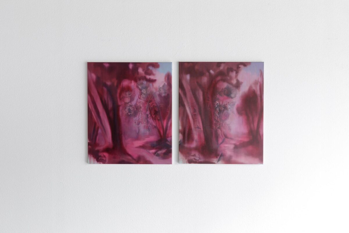 Δαμιανός Ζησίμου, άποψη εγκατάστασης: «Large red poppy flowers I», 2024, «Large red poppy flowers II», 2024. Φωτ.: Beeldsmits.