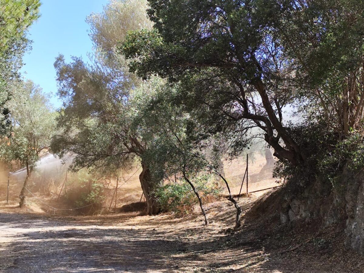 Άσκηση ετοιμότητας για την αντιμετώπιση πυρκαγιάς στο Αρχαίο Θέατρο Επιδαύρου. Πηγή εικόνας: ΥΠΠΟ.