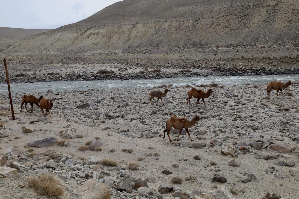 Φωτογραφία του Π. Γαβριηλίδη από την έκθεση με τίτλο «Ζει ο βασιλιάς Αλέξανδρος;». Πηγή εικόνας: ΑΠΕ-ΜΠΕ.