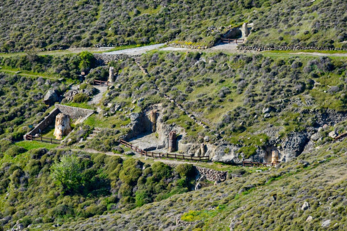 Πάρκο Απολιθωμένου Δάσους Λέσβου: περιήγηση στη θέση «Μπαλή Αλώνια»