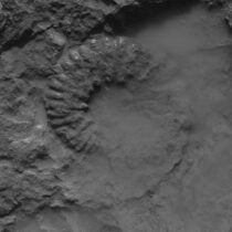 «Υπογαία»: απολιθώματα και γεωλογική φαντασία