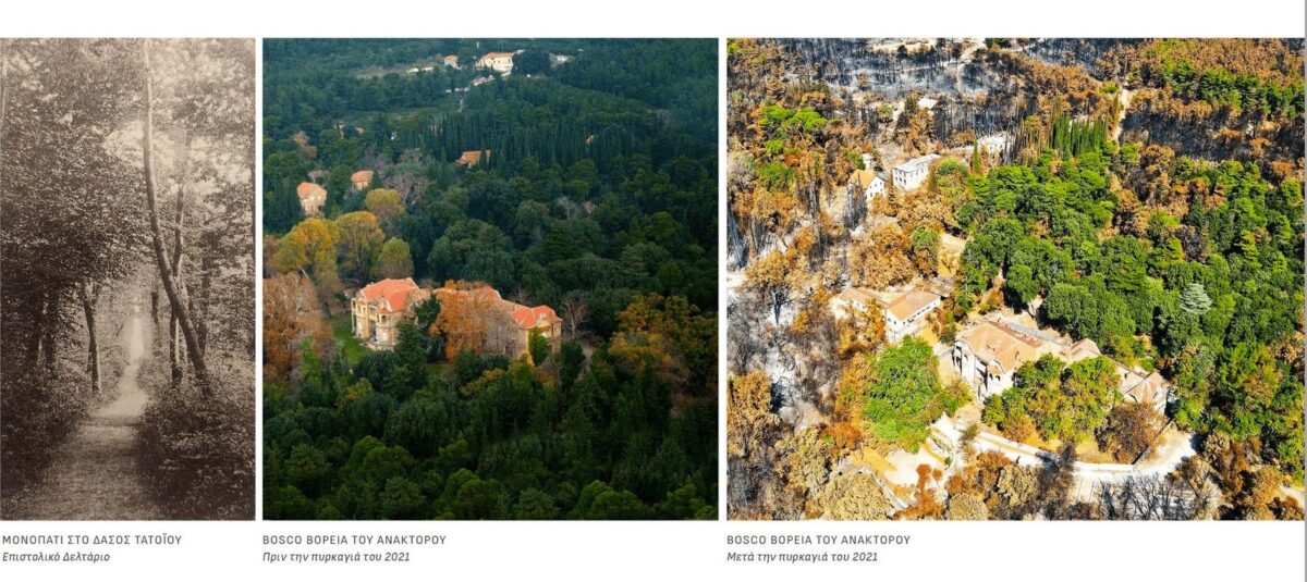 Όψεις των κτιρίων και του περιβάλλοντος χώρου στην ανακτορική ενότητα (Ιανουάριος 2025). Πηγή εικόνας: ΥΠΠΟ.