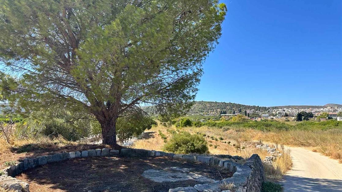 «Απ’ τ’ αλώνια στο… Μουσείο»: πολιτιστικός περίπατος στη Χίο  