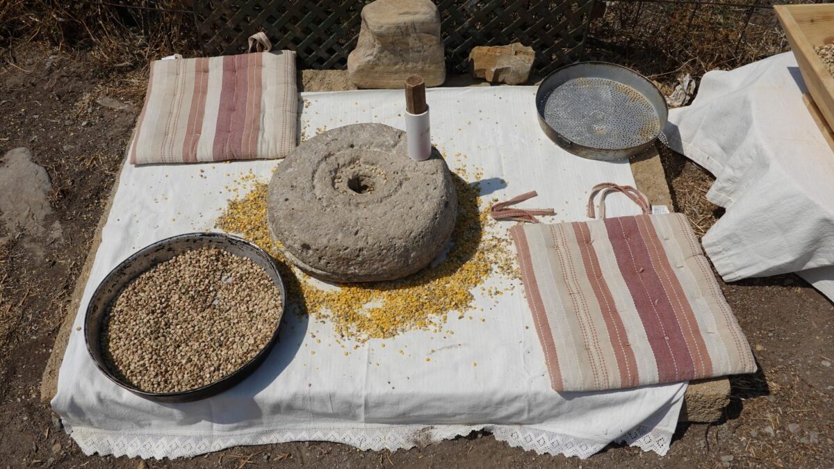 Ο κύκλος της φάβας στη νησιωτική Ελλάδα. Πηγή εικόνας: ΥΠΠΟ.