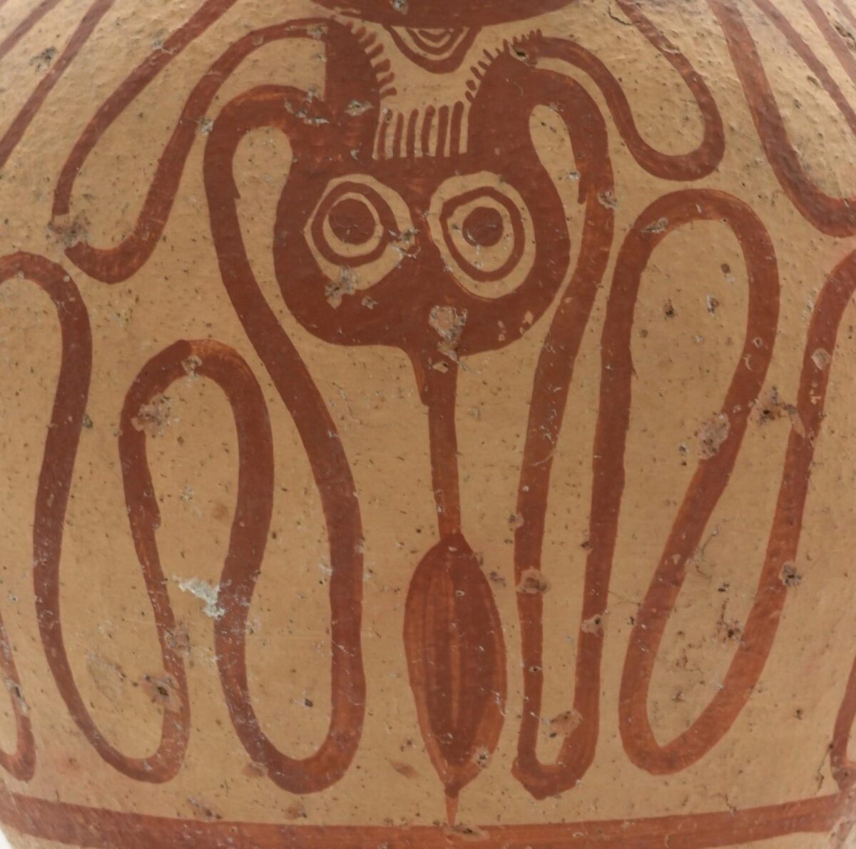 Λεπτομέρεια από τη διακόσμηση του μινωικού ψευδόστομου αμφορέα με αρ.
ευρ. Π 10711. (Φωτογραφικό Αρχείο Εθνικού Αρχαιολογικού Μουσείου).