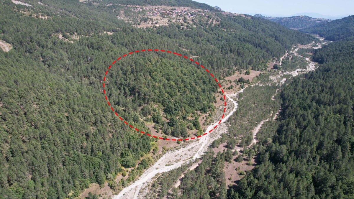 Αρχαιολογικό Πρόγραμμα Φιλιππαίων: έρευνα στην καρδιά της Πίνδου