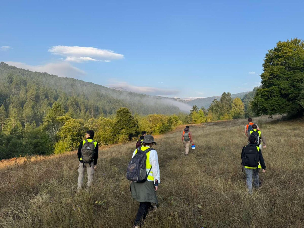 Εικ. 3. Επιφανειακή έρευνα. Πηγή εικόνας: Αρχαιολογικό Πρόγραμμα Φιλιππαίων.