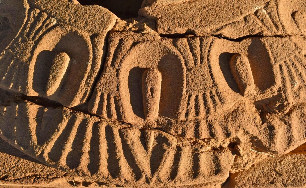 Λεπτομέρεια από τα δωρικά κιονόκρανα με την ανάγλυφη διακόσμηση του κάτω μέρους (εχίνος) από μοτίβα λωτού. Πηγή εικόνας: ΥΠΠΟ.