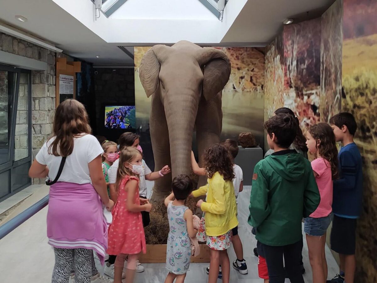 Δεινοθήρια και σεκόιες από το Απολιθωμένο Δάσος Λέσβου: Δείκτες κλιματικών αλλαγών στο Αιγαίο