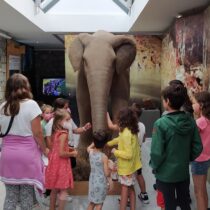 Δεινοθήρια και σεκόιες από το Απολιθωμένο Δάσος Λέσβου: Δείκτες κλιματικών αλλαγών στο Αιγαίο