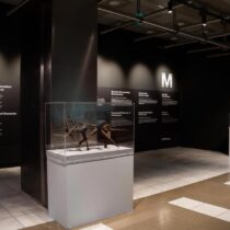 MOMUS Air: ένα νέο μουσείο στο Αεροδρόμιο Θεσσαλονίκης «Μακεδονία»