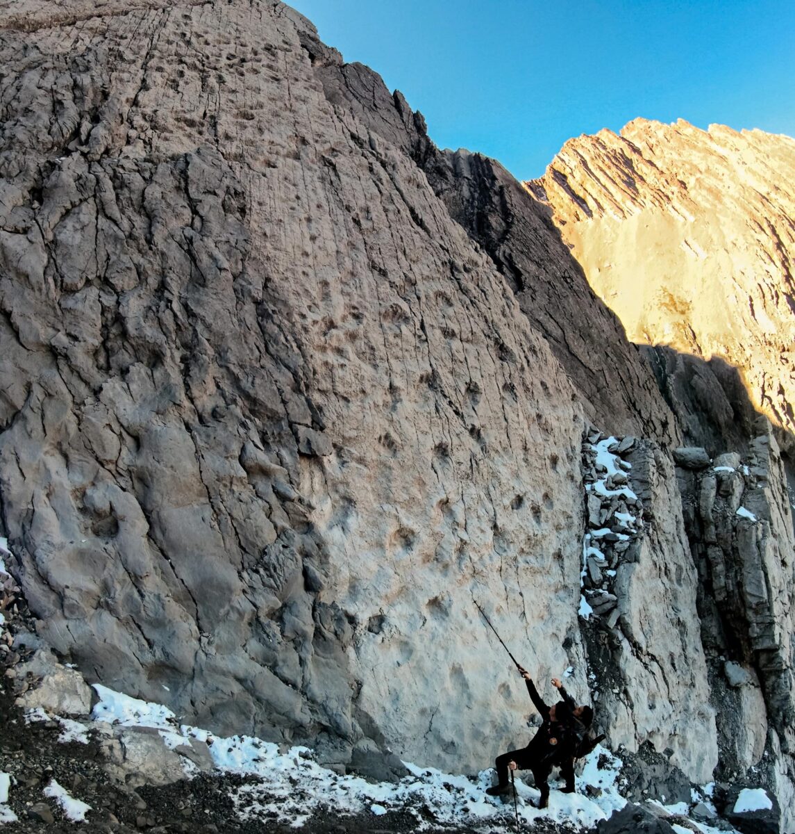 Τα καλύτερα διατηρημένα αποτυπώματα δείχνουν καθαρά τις μακριές πτέρνες, τα δάκτυλα και τα ίχνη των νυχιών. Φωτ.: Elio Della Ferrera, Αρχείο PaleoStelvio (PNS, MSNM, SABAP CO-LC).
