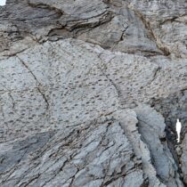 Χιλιάδες αποτυπώματα δεινοσαύρων βρέθηκαν στις Άλπεις