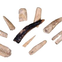 Εργαλεία φτιαγμένα από κέρατο ελαφιού (Αρχείο Ανασκαφής Σπηλαίου Θεόπετρας).