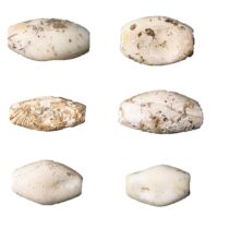 Βαρελόσχημες χάνδρες από όστρεο Spondylus gaederopus της Νεότερης Νεολιθικής περιόδου (Αρχείο Ανασκαφής Σπηλαίου Θεόπετρας).