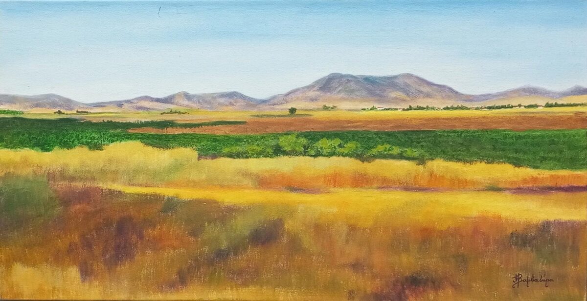 Μάγδα Βαμβατήρα, «Γεμάτα φως», 32,5x62,5 εκ. 