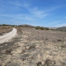 Αμαργέτη: νεότερα από το πρόγραμμα επιφανειακής έρευνας