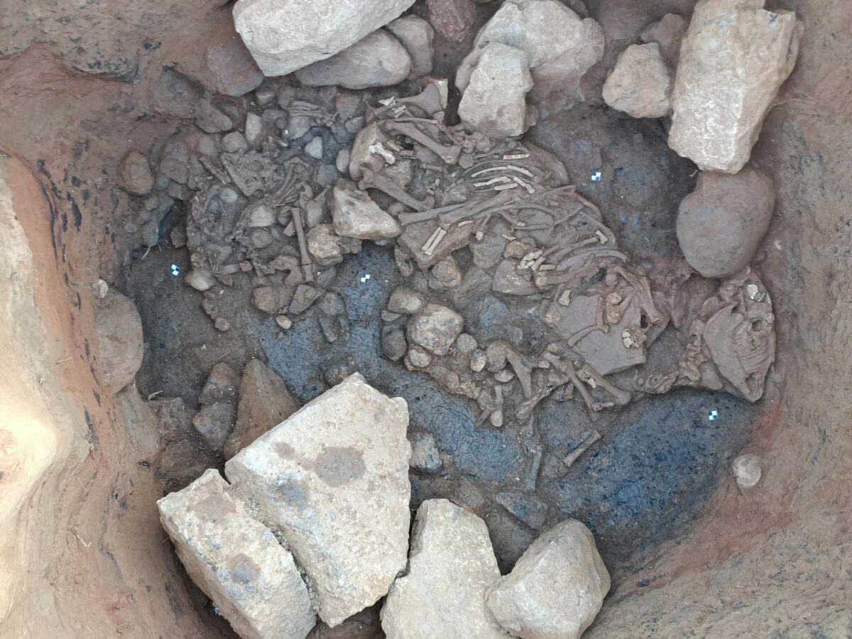 Σκελετός ιπποειδούς στον πυθμένα του λάκκου. Πηγή εικόνας: ΥΠΠΟ.