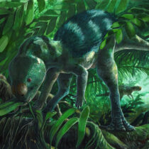 Απολιθώματα μικροσκοπικού δεινόσαυρου βρέθηκαν στην Ισπανία