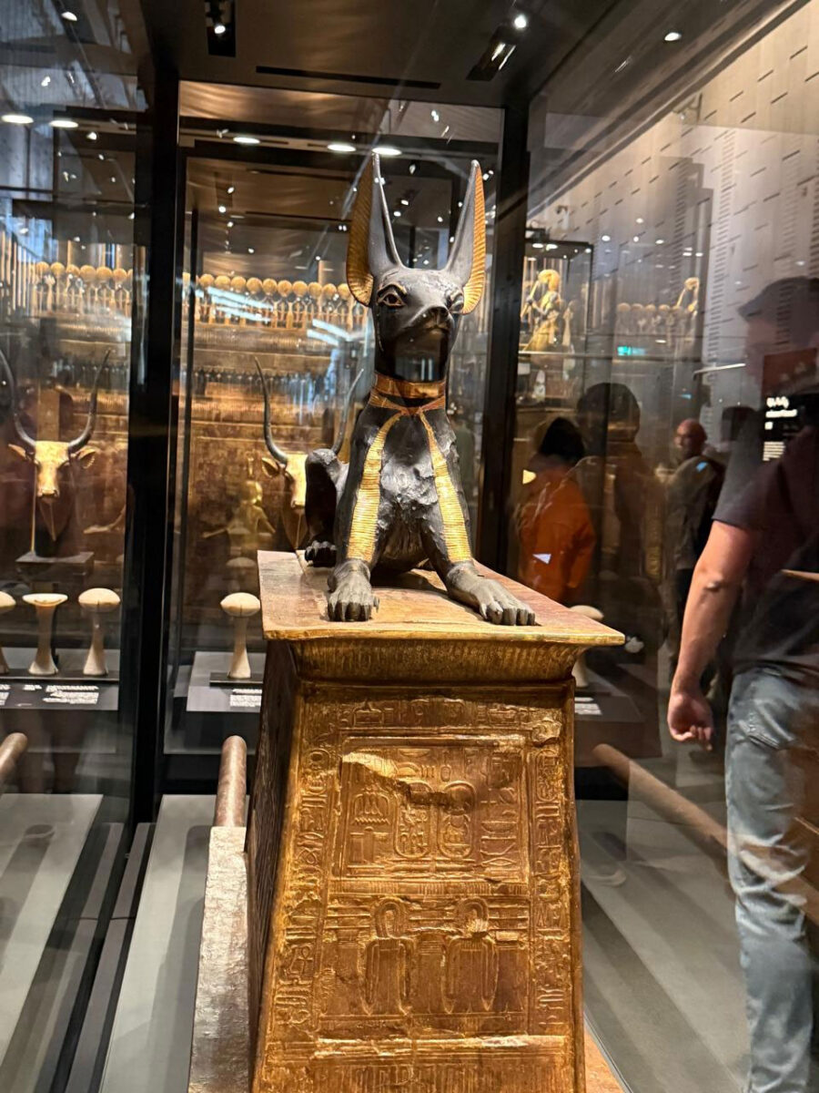 Το άγαλμα του θεού Άνουβη από τον τάφο του Τουταγχαμών σε μορφή τσακαλιού. Grand Egyptian Museum. Πηγή εικόνας: ΥΠΠΟ.