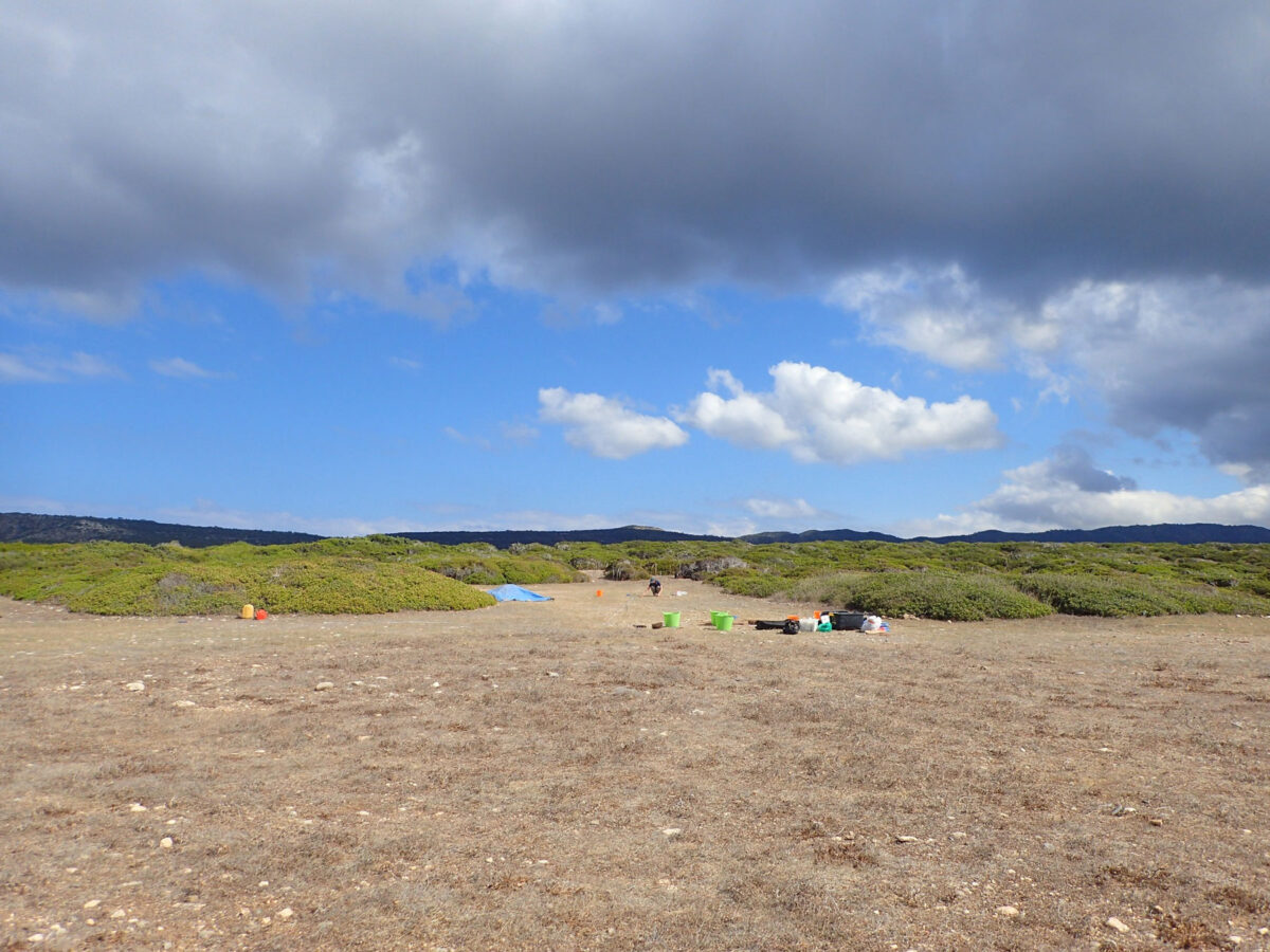 Εικ. 1. Γενική όψη της αρχαιολογικής θέσης Δρούσεια-Σκλοινίκια στο βορειοδυτικό τμήμα της χερσονήσου του Ακάμα κατά την έναρξη της ανασκαφικής περιόδου 2025. Πηγή εικόνας: Υφυπουργείο Πολιτισμού Κύπρου.