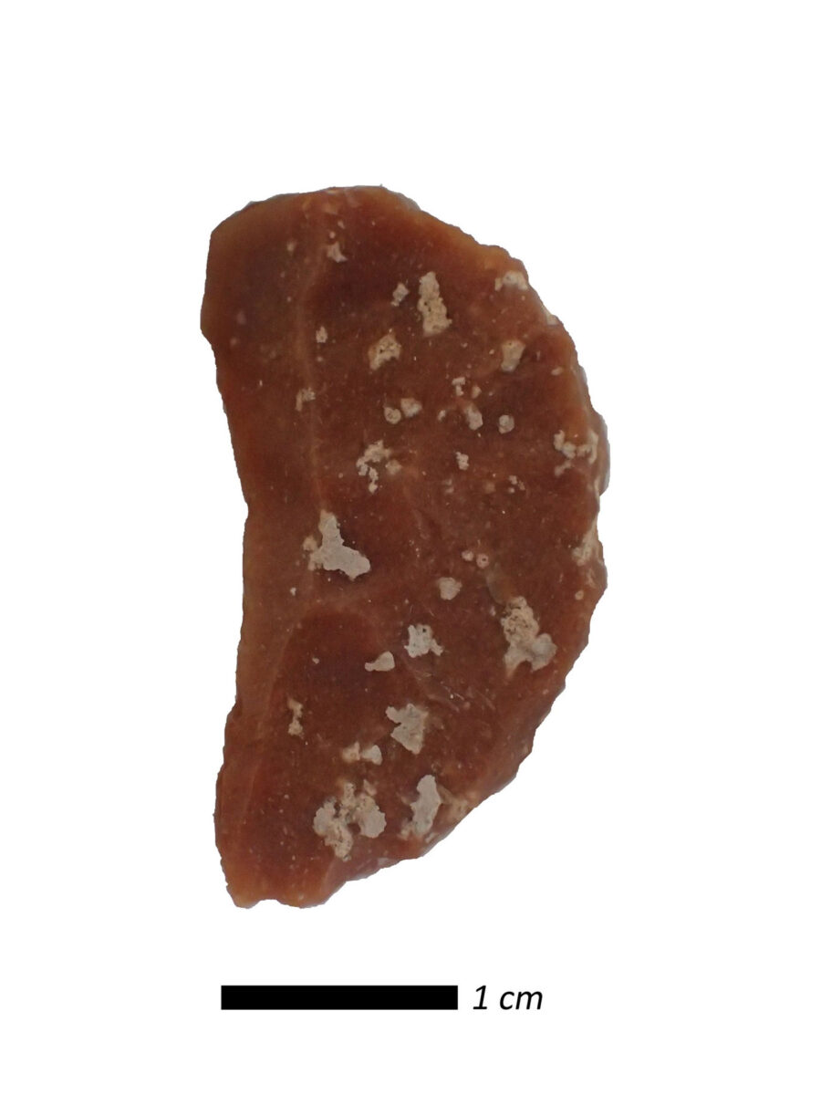 Εικ. 2. Λίθινο εργαλείο τύπου ημισελήνου, που εντοπίστηκε κατά την ανασκαφή το 2025. Πηγή εικόνας: Υφυπουργείο Πολιτισμού Κύπρου.