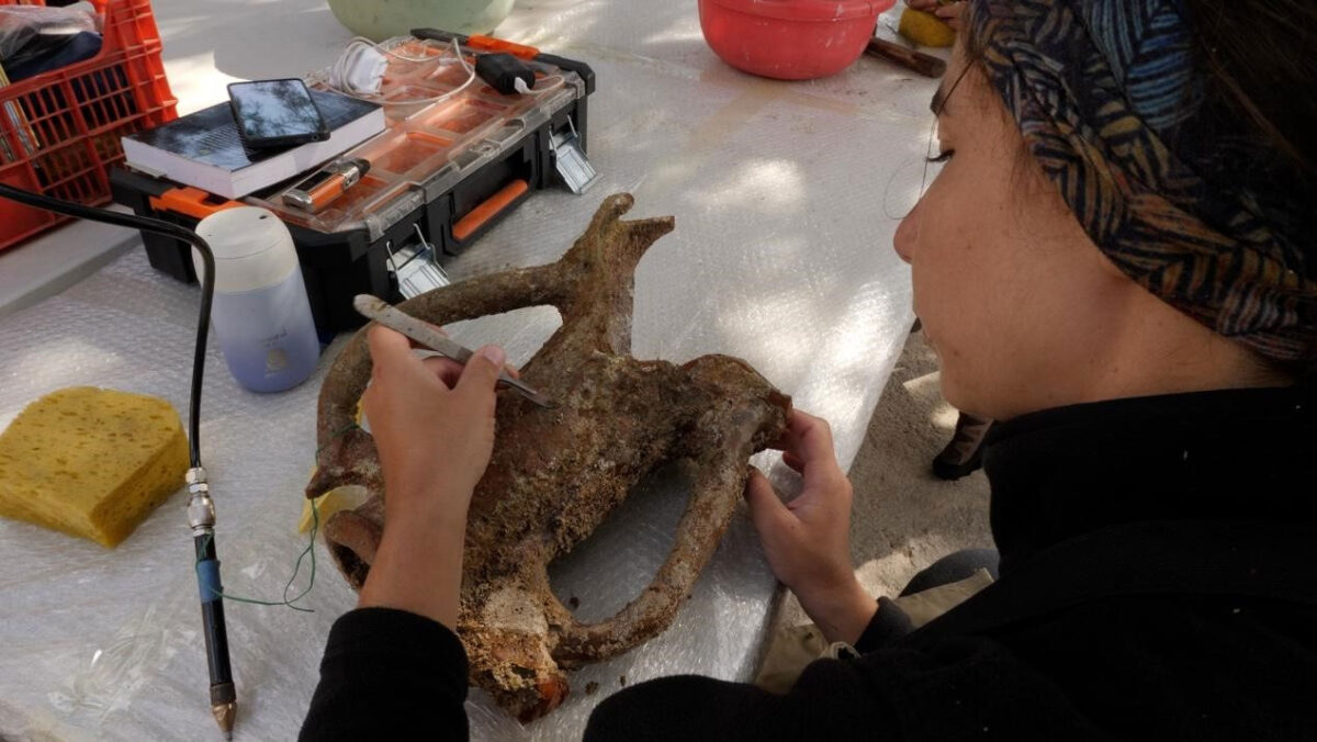 Πρώτα σωστικά μέτρα συντήρησης των ευρημάτων που ανελκύστηκαν στο πεδίο. Πηγή εικόνας: ΥΠΠΟ.