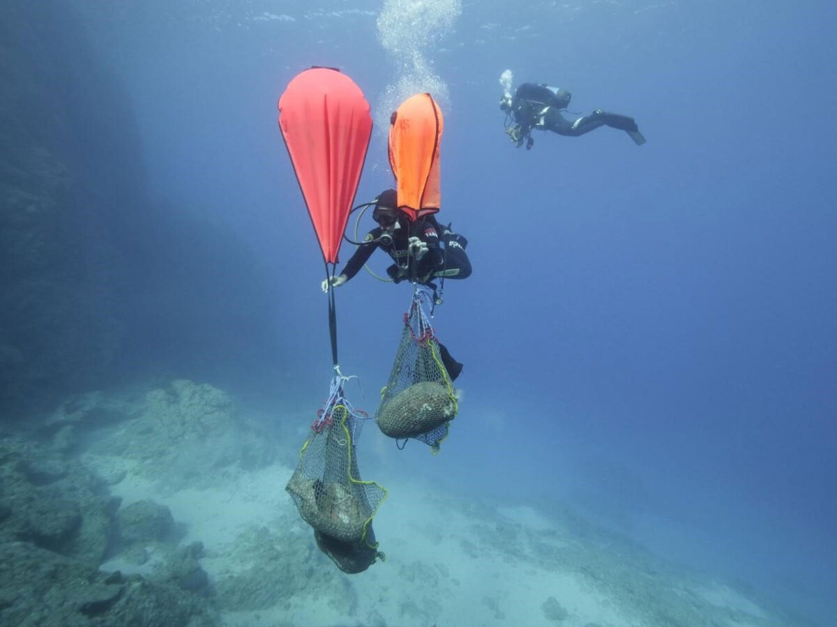 Ανέλκυση αντικειμένων από τον χώρο του ναυαγίου ΚΘ3. Πηγή εικόνας: ΥΠΠΟ.
