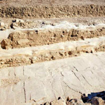 Το ιερό του ανακτόρου. Φωτ.: Αρχείο Ανασκαφών Πετρά.