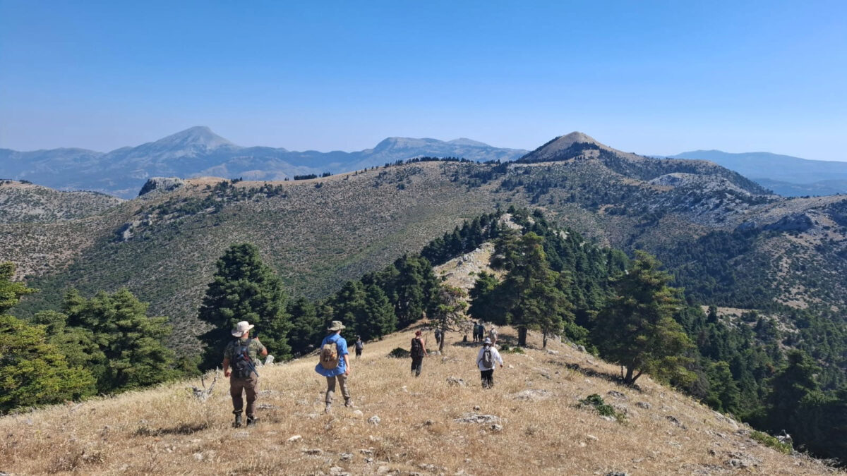 Επιφανειακή έρευνα στην πεδιάδα της Ερέτριας