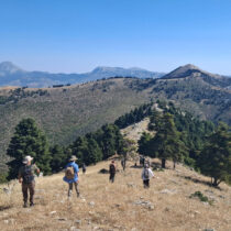 Επιφανειακή έρευνα στην πεδιάδα της Ερέτριας