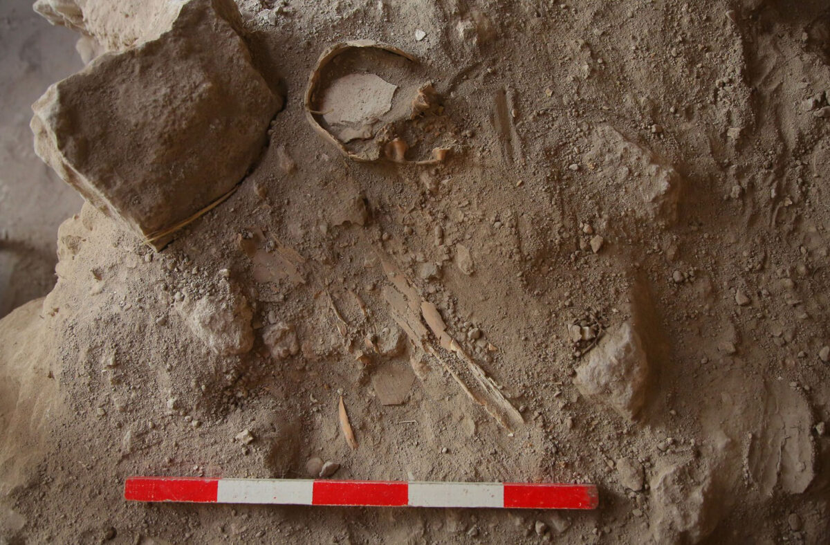 Λεπτομέρεια ταφής. Πηγή εικόνας: The Lautenschläger Azekah Expedition.