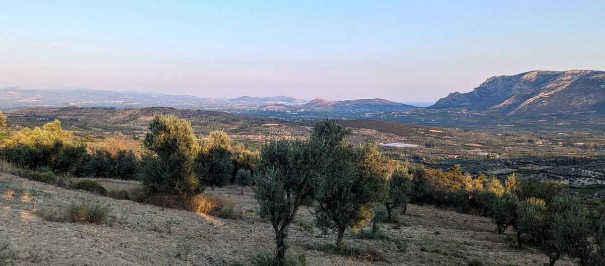 Το Άργος και η αργολική πεδιάδα, όπως φαίνονται από το Μαλανδρένι (2023). Πηγή εικόνας: Αιγεύς.